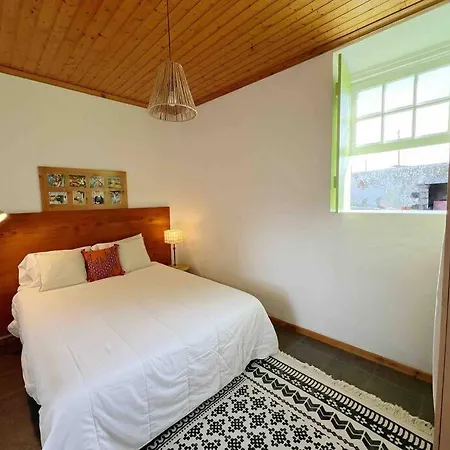 Casa Do Cacto - 1 Bedroom Cosy Flat Madalena  Exterior photo