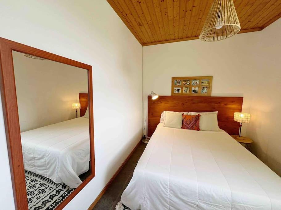 Casa Do Cacto - 1 Bedroom Cosy Flat * Madalena (Azores)
