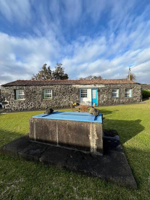 Casa Do Cacto - 1 Bedroom Cosy Flat * Madalena (Azores)