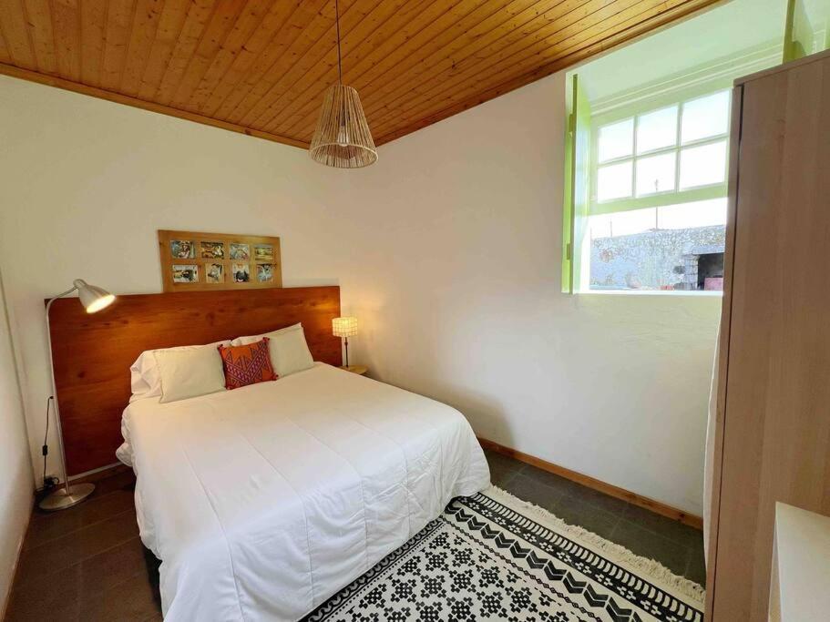 Casa Do Cacto - 1 Bedroom Cosy Flat Apartment *